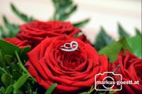 Ring_Rose4