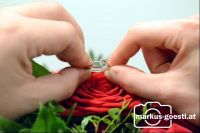 Ring_Rose2