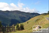 Berglandschaft3