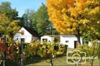 Weinkeller_Herbststimmung