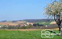 Frühling3