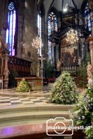 Stephansdom_Altarraum2
