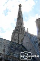 Stephansdom9