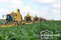 7_Ropa_bei_der_Ernte15