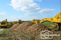 Rübenernte_Bodenablage2