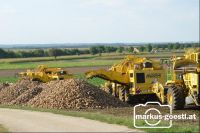 Rübenernte_Bodenablage1