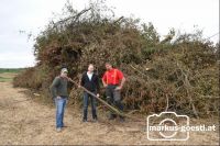 Bekämpfung_Feuerbrand1