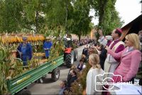 Turnovszky_segnet_Wagen7