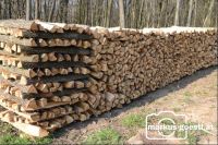 Holzscheiter4