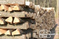 Holzscheiter3