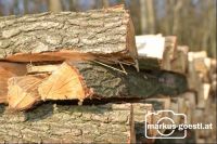 Holzscheiter2