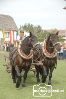 Bauernbundjubiläum29