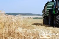 Weizenfeld2