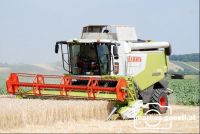 Weizendrusch32