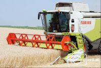 Weizendrusch30