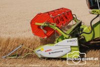 Weizendrusch28