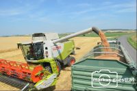 Weizen_abtanken3