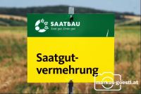 Saatgutvermehrung2