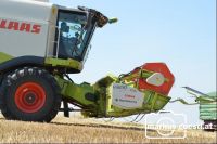 Weizendrusch2