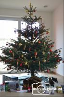 Christbaum