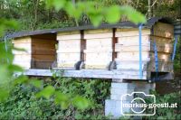 Bienenstöcke2