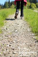 Wandern-Pilgern1