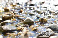 Wasser-Steine4