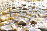 Wasser-Steine3