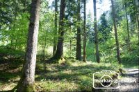 Wald6
