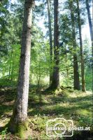 Wald1