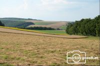 Weinviertel