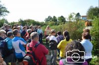 Kräuterwanderung5