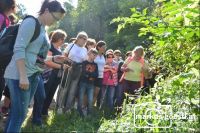Kräuterwanderung2