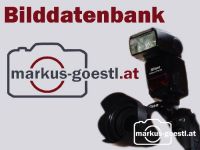 Bilddatenbank Neu