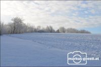 Winterlandschaft