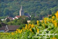 Blick nach Michelstetten