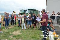 Kürbistag Kreuzstetten