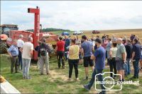 Kürbistag Kreuzstetten
