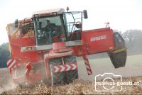Grimme5