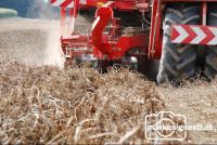 Grimme4