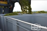 Weingarten Lesemaschine