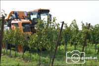 Weingarten Lesemaschine