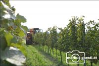 Weingarten Lesemaschine