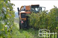Weingarten Lesemaschine