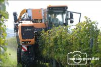 Weingarten Lesemaschine