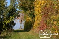 Herbststimmung
