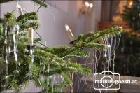Christbaum