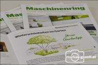 Neues Layout MR-Zeitung