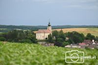 Blick zur Kirche Gnadendorf