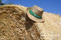 Hut Maschinenring Rundballen